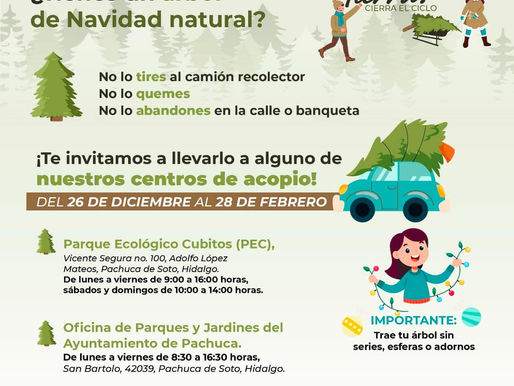 #RegrésaloALaTierra. 🎄
Trae tu árbol natural de Navidad y forma parte del ciclo sostenible.