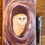 Thumbnail: image of small tree owl notebook מחברת קטנה של אוח