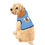 Thumbnail: Rescue Lyfe Stylish Blue Pet Hoodie