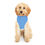 Thumbnail: Rescue Lyfe Stylish Blue Pet Hoodie