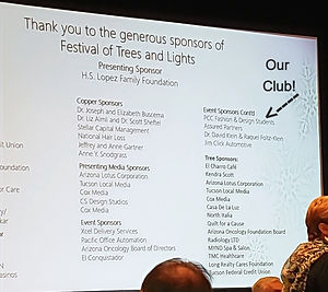 FESTIVAL_edited.jpg