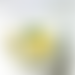 Osterliche Eiercreme