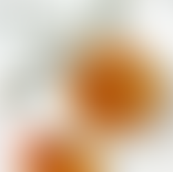 Zuckerfreie Marillen Marmelade