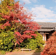 DSCF3801_edited.jpg