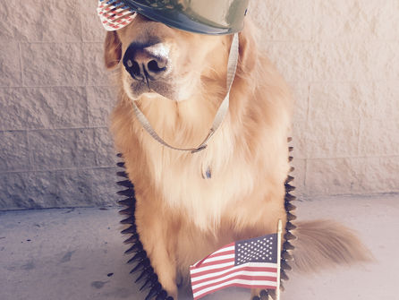 Photo Booths Fun for Veterans!