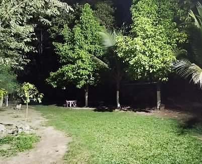 WhatsApp Image 2024-02-20 at 9.27.29 PM.jpeg