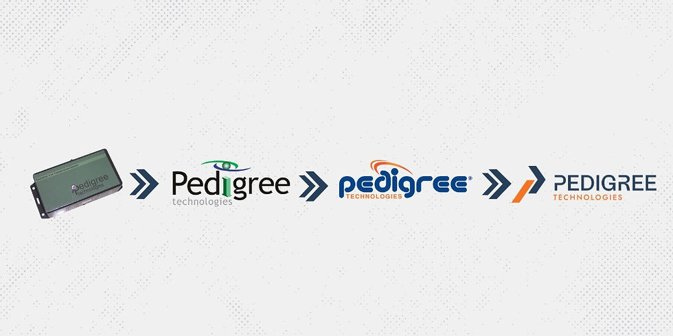 evolution of logo