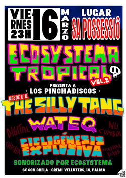 silly tang _ mallorca (flyer)