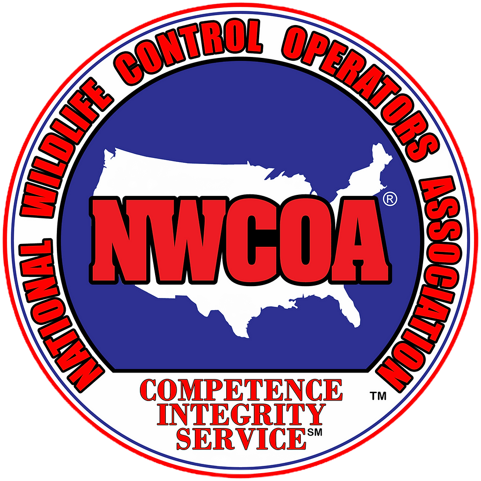 nwcoa logo- large.gif