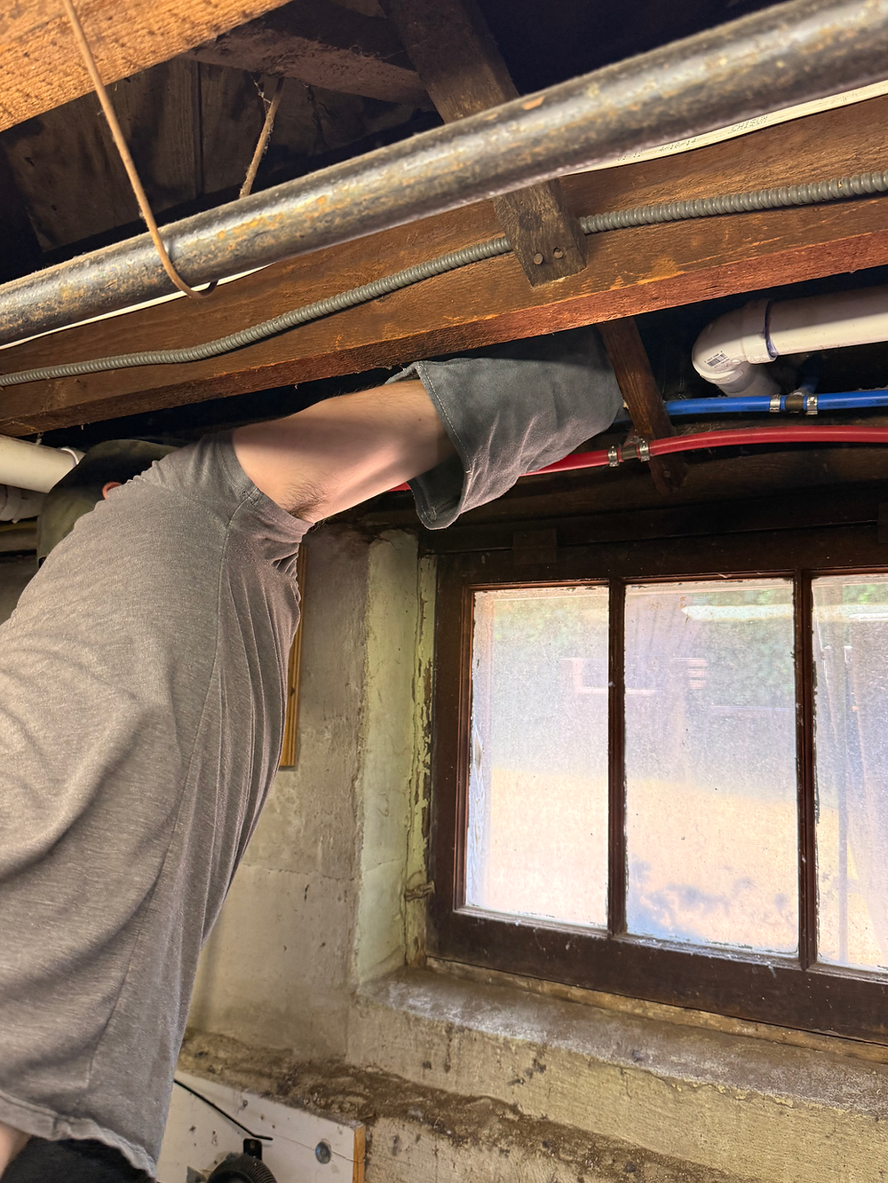 Technician helping wildlife out of crawlspace