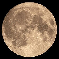 Moon Tides, Gardening and Self Development