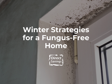 Mold Fighters: Winter Strategies for a Fungus-Free Home