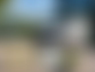 Noleggio lungo termine veicoli N1 sostenibilità certificata