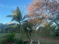 IMG_6087.jpg