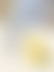 【H- Honjozo 本釀造 ほんじょうぞ】