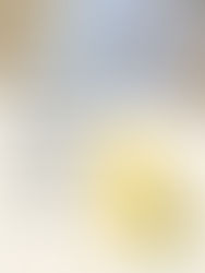 【H- Honjozo 本釀造 ほんじょうぞ】