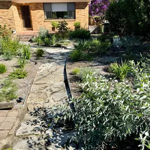 Native Garden - Nth Turramurra