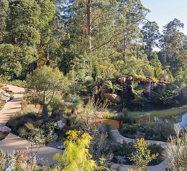 Chelsea Australian Garden at Olinda_CAGO