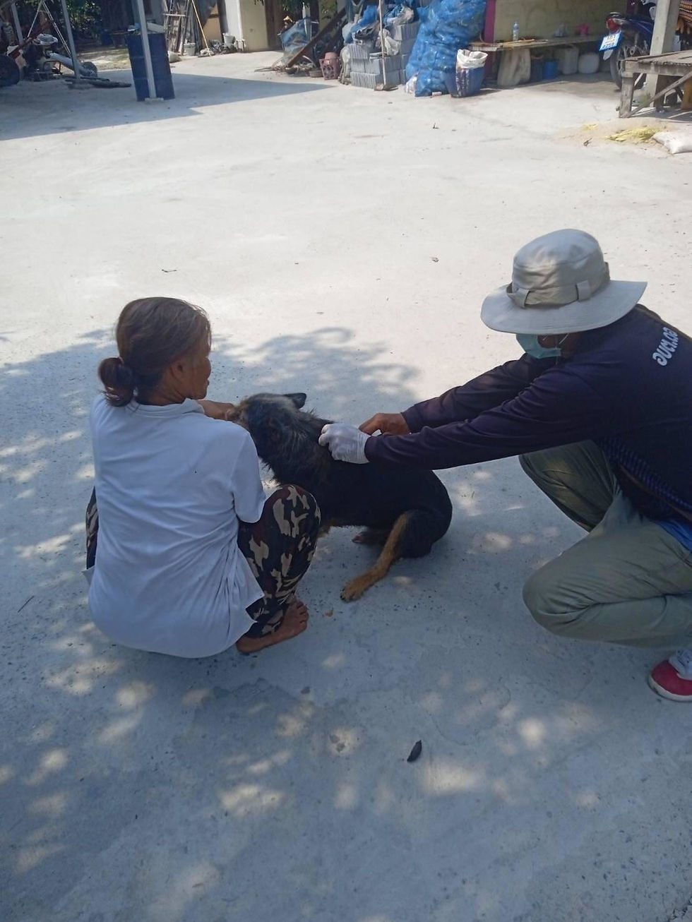 สัตว์ปลอดโรค 2568 (8)