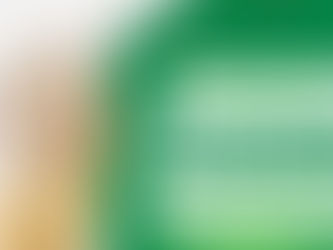 Camarão entra no perÃodo de defeso no litoral da Bahia