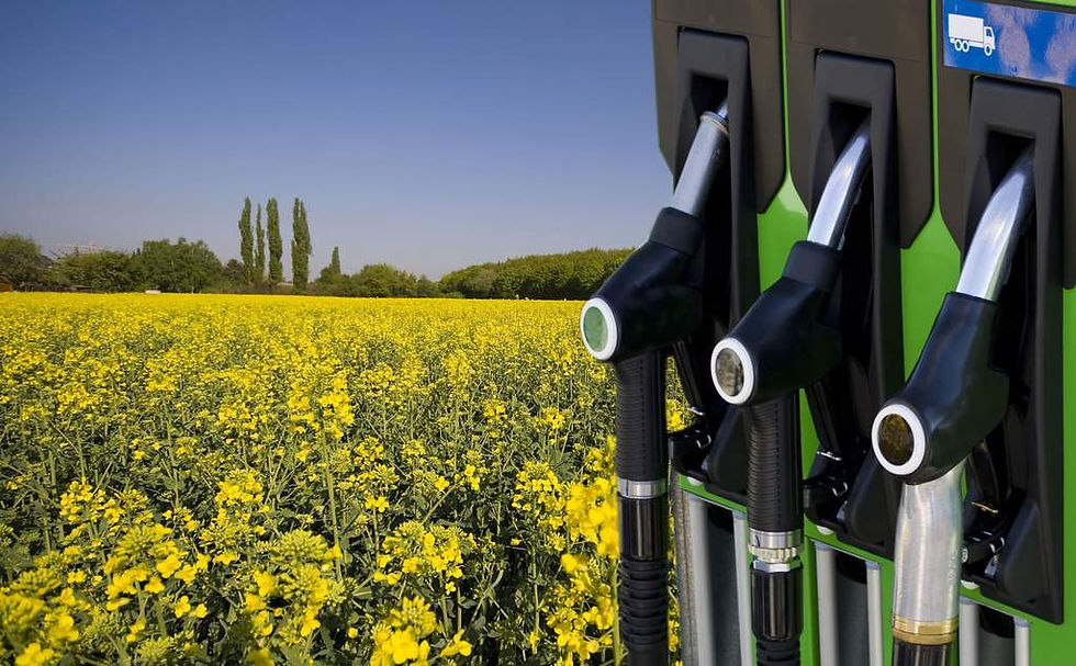 Brasil e Agência Internacional de Energia unem forças para acelerar transição energética