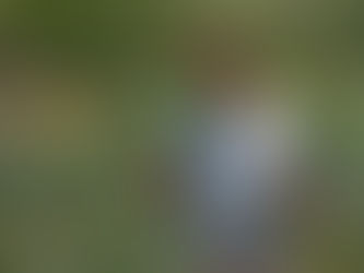 Governo federal quer implantar 2 mil quintais produtivos para mulheres rurais