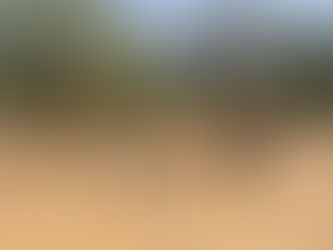 Bahia tem a primeira região árida do país