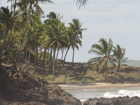 Foto de cenário paradisíaco de praia, com faixa de areia e mar com ondas cercado por uma baía de pedras e muitos coqueiros.