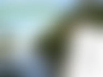 Inscrições para Conselho de Meio Ambiente de Itacaré vão até 5/8