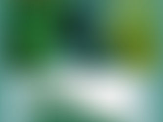Inscrições de projetos de direitos de povos indÃgenas seguem até 7 de maio