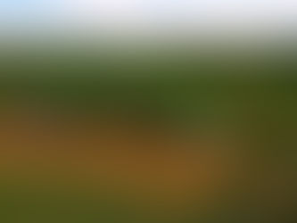 Agroecologia garante alimentos saudáveis e resistência ao clima