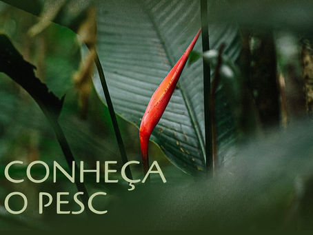 Nova lei incentiva visitação de Unidades de Conservação