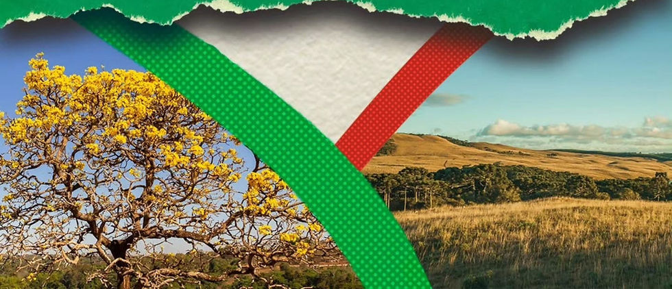 Composição de duas fotos, sendo uma de uma árvore nativa do cerrado e a outra de uma ampla área antropizada.