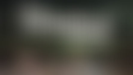 Foto de dois caranguejos em um mangue com o texto "Deixe o caranguejo namorar!".