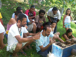 Introdução de Melipolinário