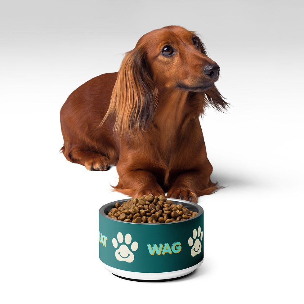 Thumbnail: Walk Eat Wag Repeat Dog Food Bowl in Teal - 2 sizes