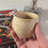 Thumbnail: Creme Brulee Cup - discounted