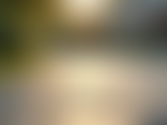 Affordable Driveway Cleaning: Free Quotes and Honest Advice