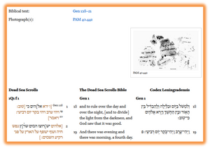 The Dead Sea Scrolls Electronic Library (Brill)