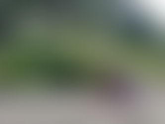 あじさいを描く児童の後ろ姿