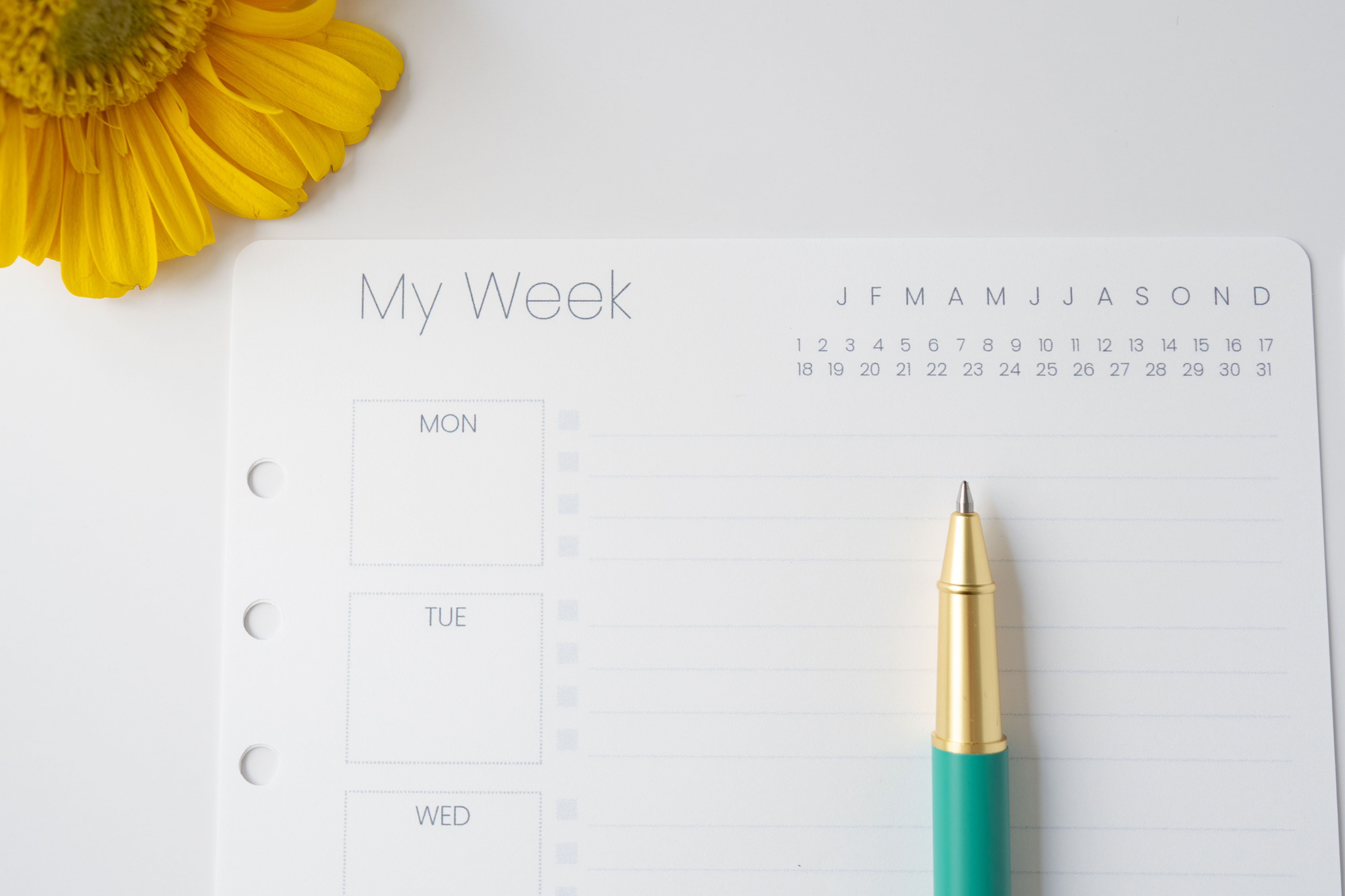 A5-sized modular weekly note insert designed for planners