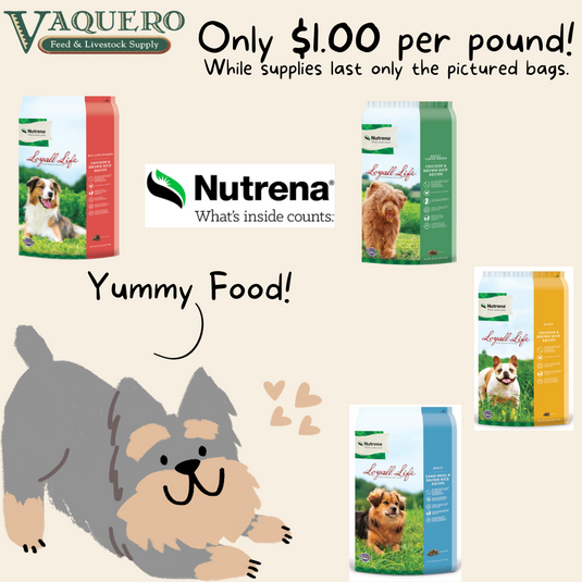 Feed Store United States Vaquero Feed & Livestock Supply