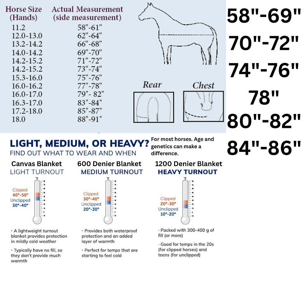 Feed Store United States Vaquero Feed & Livestock Supply
