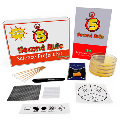 5 Second Rule- Science Project | easypeasy-fair-page