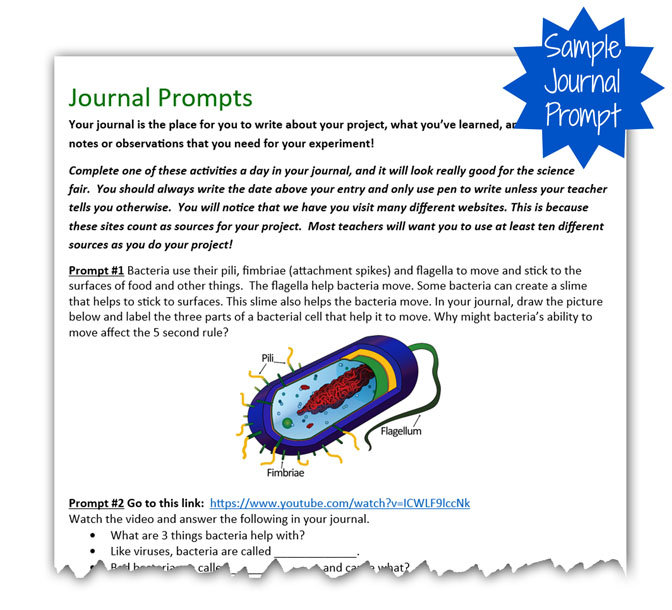 5 Second Rule Science Project easypeasyfairpage