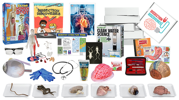 dissection-discoveries_horizontal3 SMALL