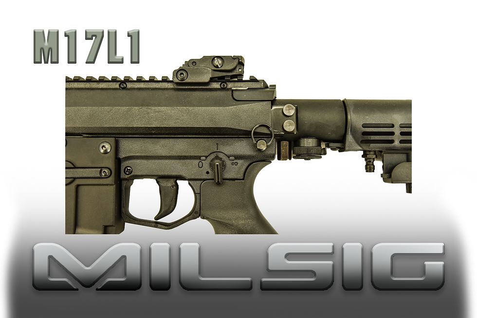 Thumbnail: M17L1