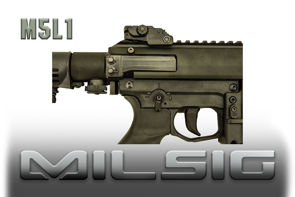 Thumbnail: M5L1