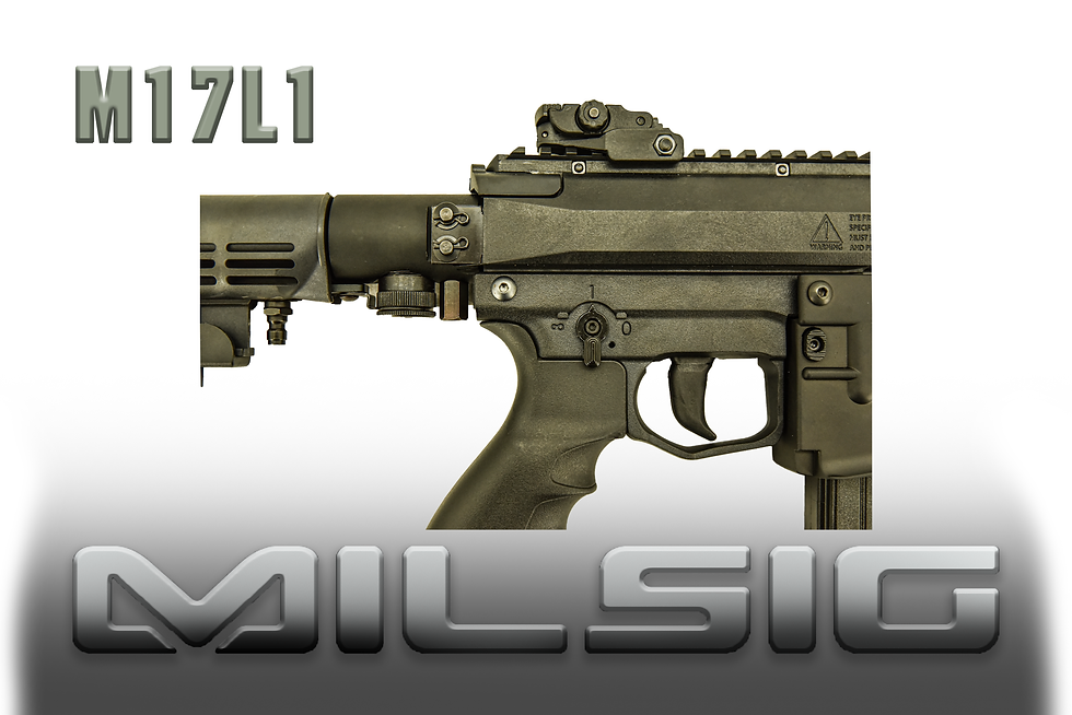 Thumbnail: M17L1