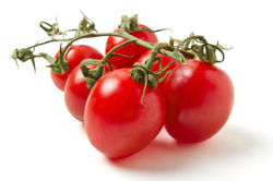 tomatoes-datterini-cherry-plum-vine